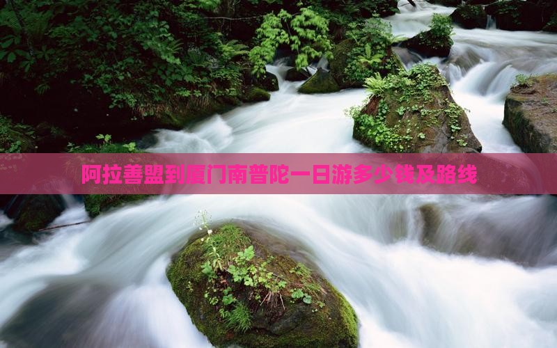 阿拉善盟到厦门南普陀一日