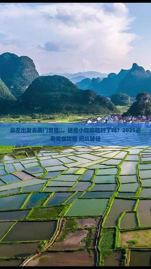 崇左去厦门曾厝埯旅游小吃