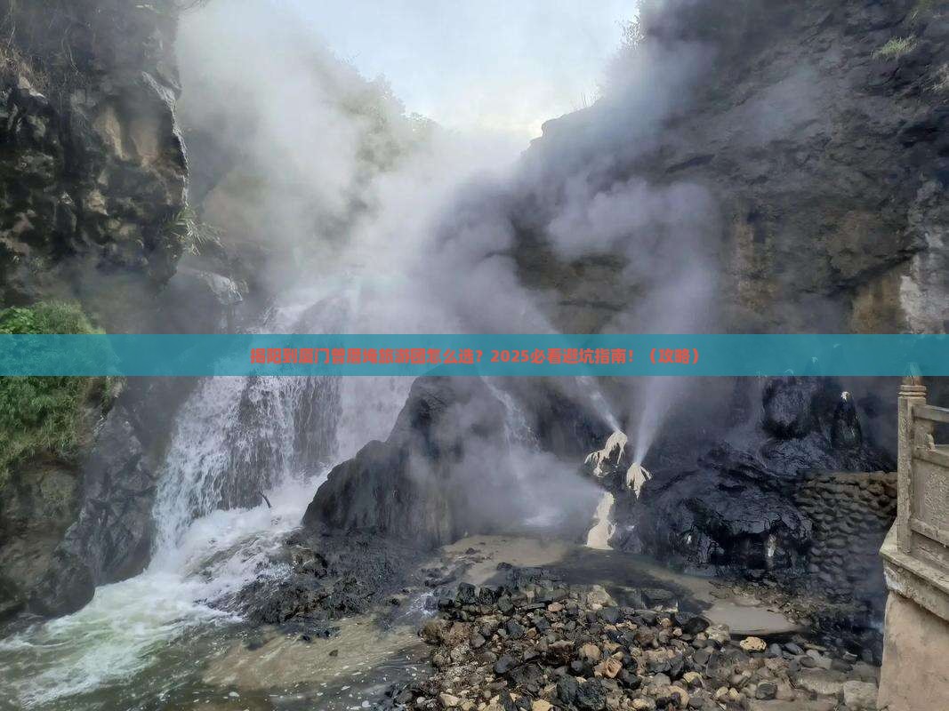 揭阳到厦门曾厝埯大型旅游团