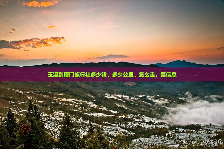 玉溪到厦门旅行社