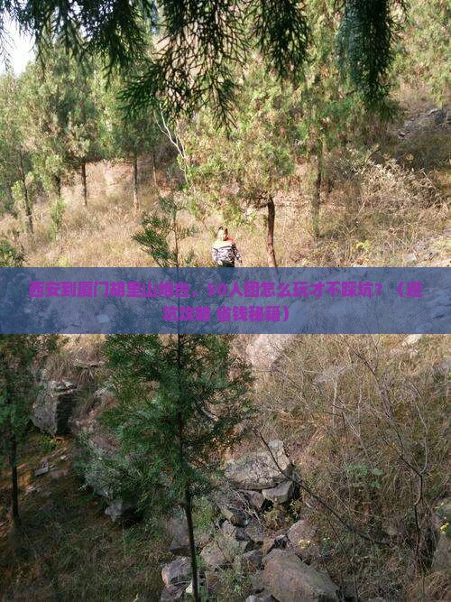 西安到厦门胡里山炮台大型旅游团