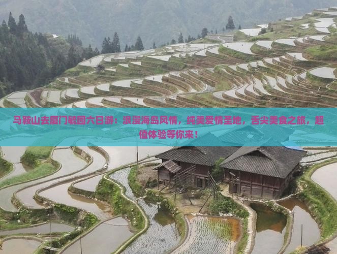 马鞍山去厦门毓园六日游