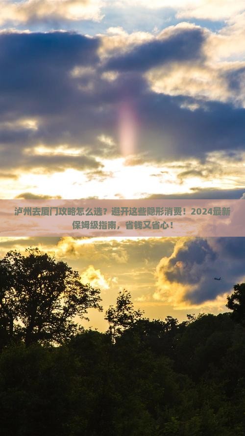 泸州去厦门攻略