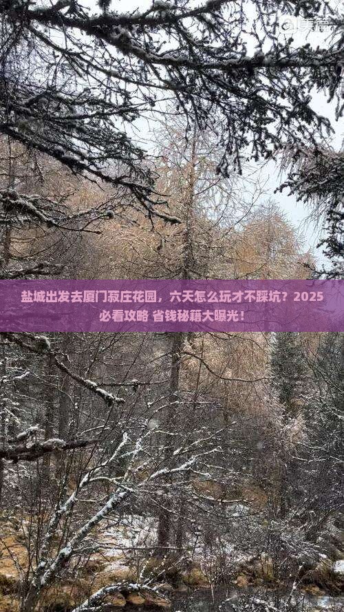 盐城去厦门菽庄花园六日游