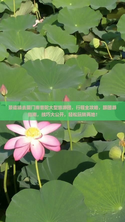景德镇去厦门南普陀大型旅游团