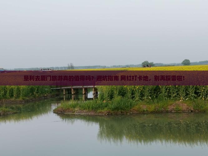 垦利去厦门旅游