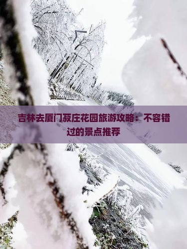 吉林去厦门菽庄花园哪里玩