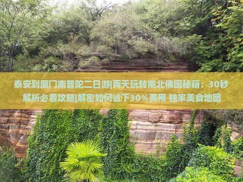 泰安到厦门南普陀二日游