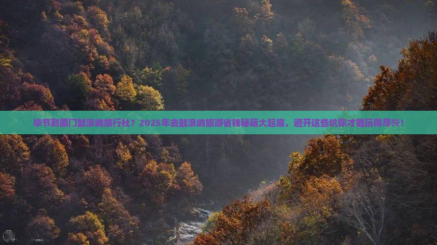 毕节到厦门鼓浪屿旅行社