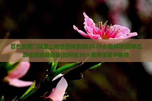 百色去厦门胡里山炮台团体旅游