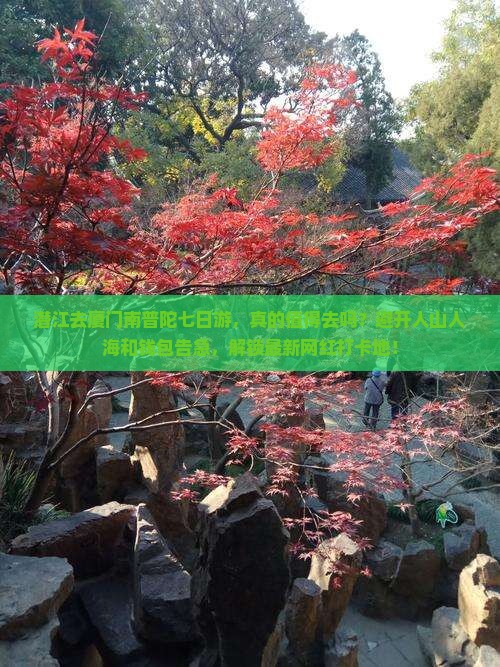 潜江去厦门南普陀七日游