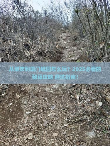肇庆到厦门毓园哪里玩