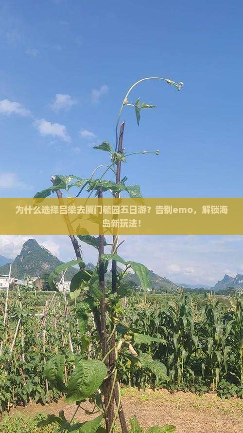 吕梁去厦门毓园五日游