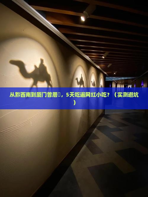 黔西南到厦门曾厝埯旅游小吃