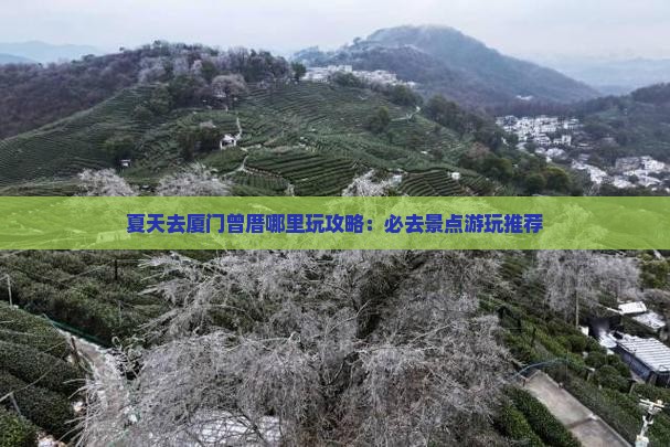 夏天去厦门曾厝埯哪里玩