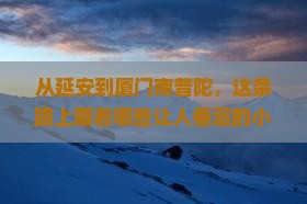 延安到厦门南普陀旅游小吃