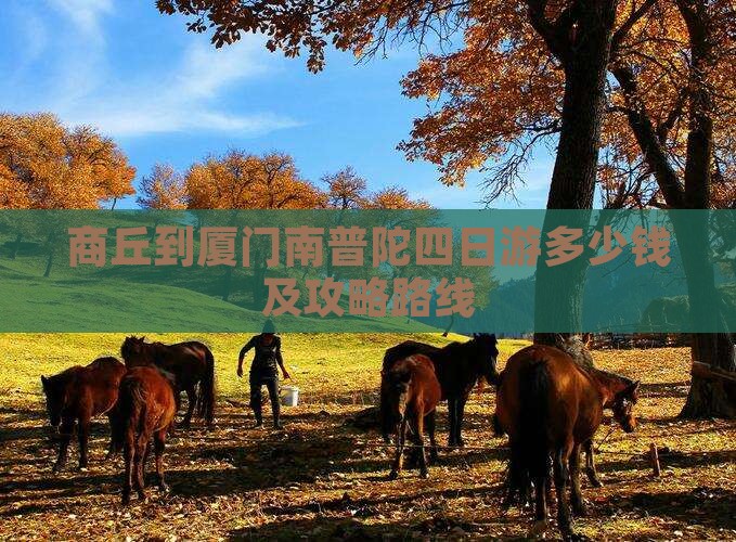 商丘到厦门南普陀四日游