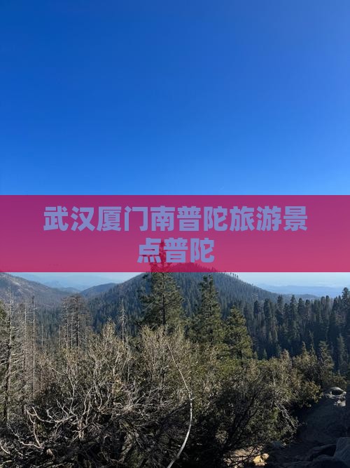 武汉到厦门南普陀景点
