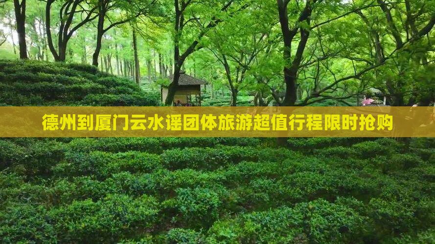 德州到厦门云水谣团体旅游