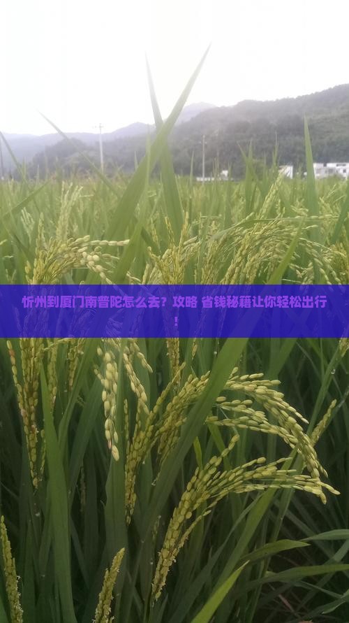忻州到厦门南普陀旅游
