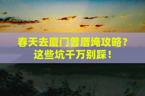 春天去厦门曾厝埯攻略