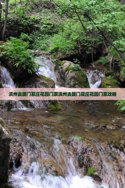 滨州去厦门菽庄花园门票