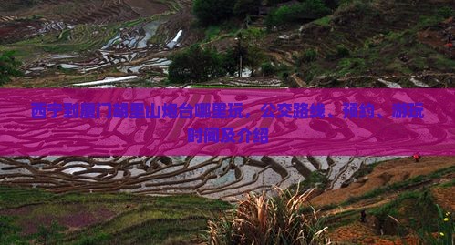 西宁到厦门胡里山炮台哪里玩