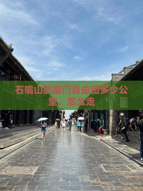 石嘴山到厦门自由团