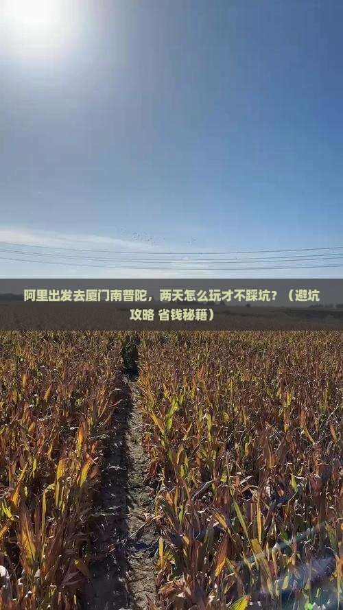 阿里到厦门南普陀二日游