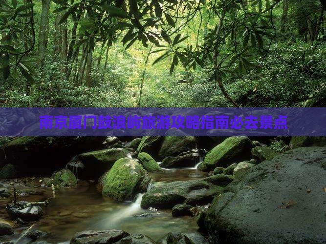 南京去厦门鼓浪屿必去地