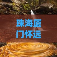 珠海到厦门怀远楼四日游