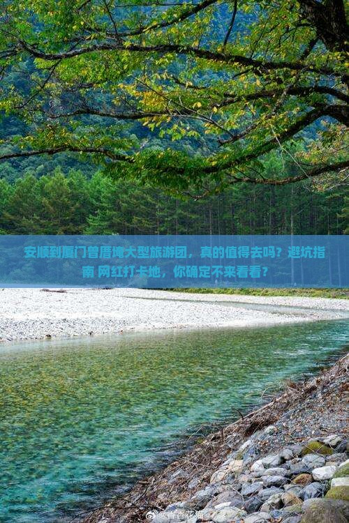 安顺到厦门曾厝埯大型旅游团