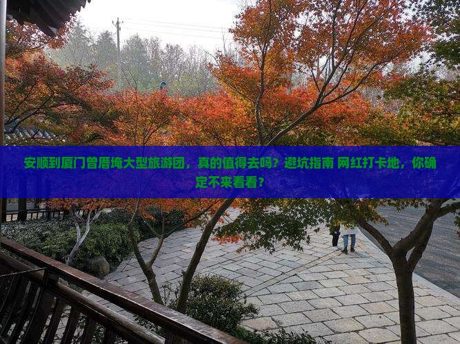 安顺到厦门曾厝埯大型旅游团