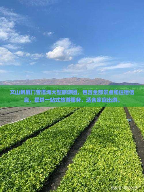 文山到厦门曾厝埯大型旅游团