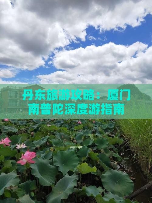 丹东去厦门南普陀攻略