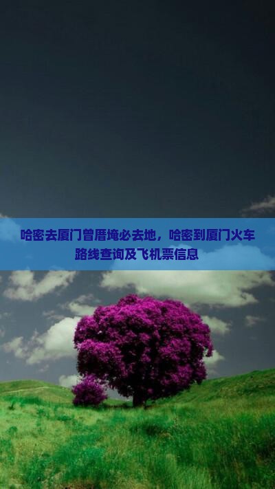 哈密去厦门曾厝埯必去地