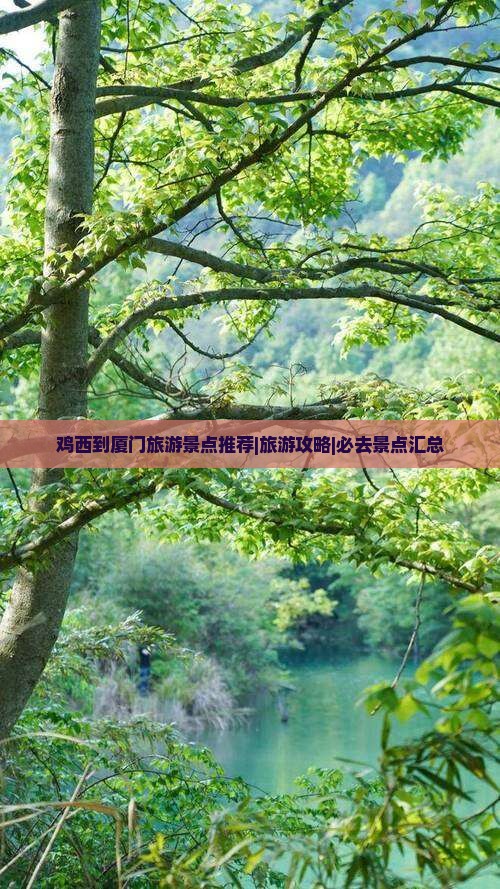 鸡西去厦门和贵楼哪里玩