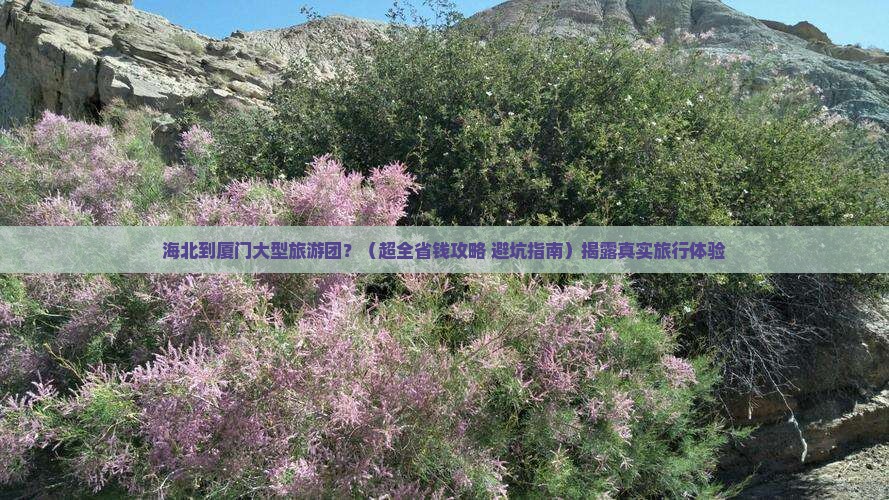海北到厦门大型旅游团