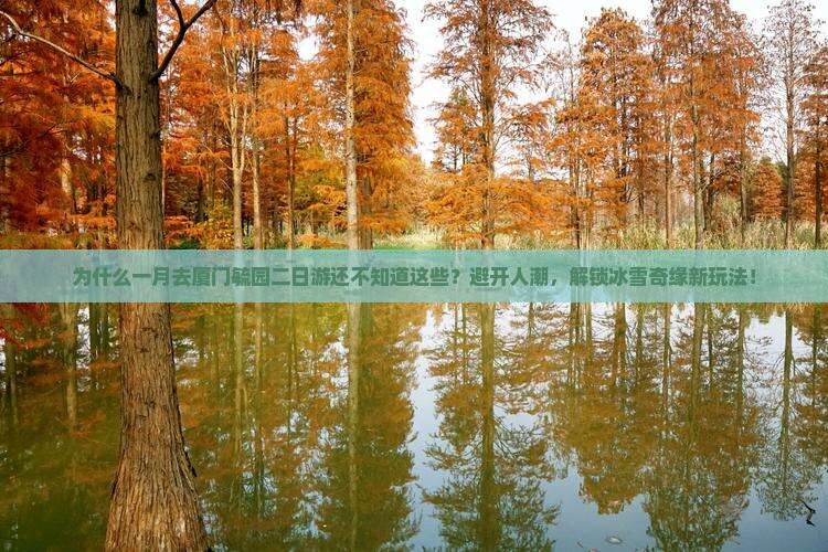 一月去厦门毓园二日游 一月去厦门毓园二日游