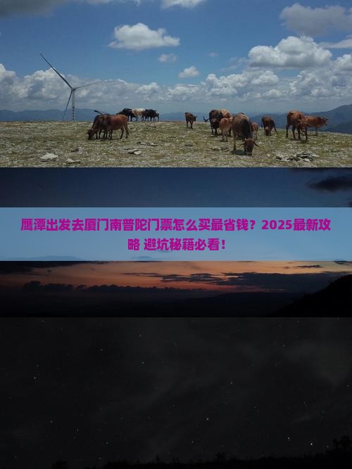 鹰潭去厦门南普陀门票