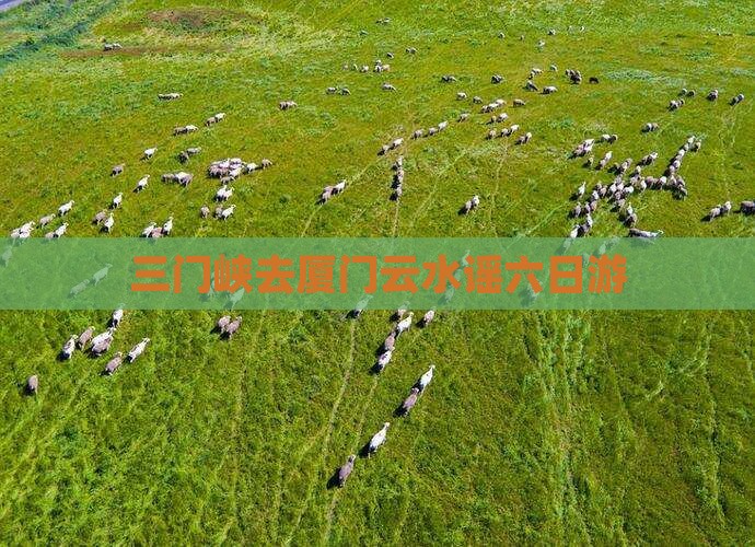 三门峡去厦门云水谣六日游