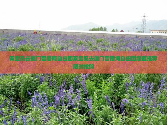 秦皇岛去厦门曾厝埯自由团