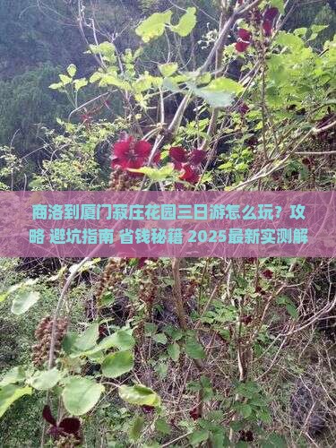 商洛到厦门菽庄花园三日游
