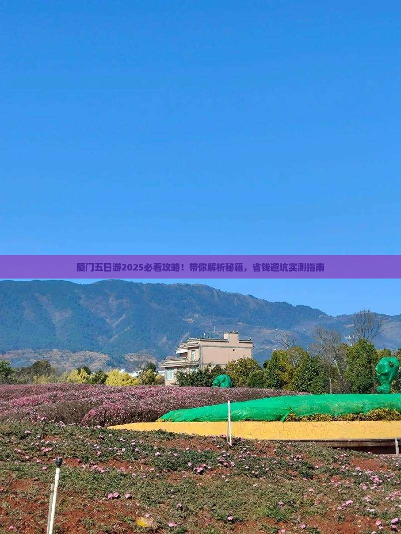 固原去厦门五日游