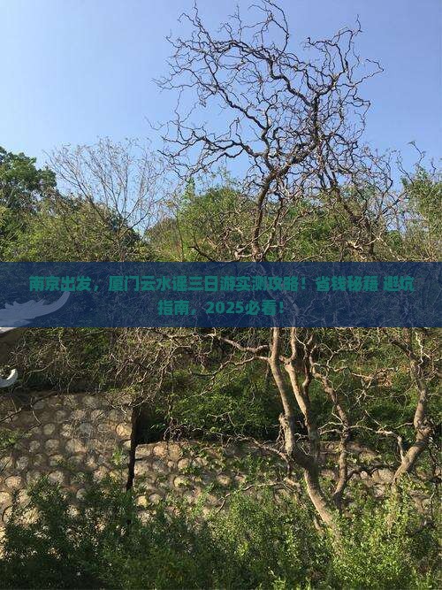 南京到厦门云水谣三日游