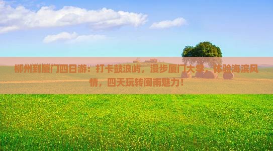 柳州到厦门四日游
