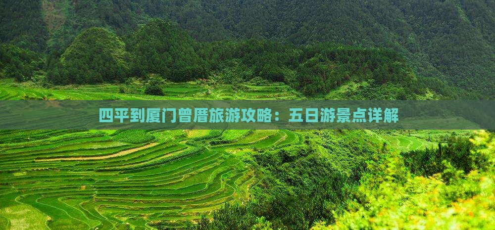 四平到厦门曾厝埯五日游