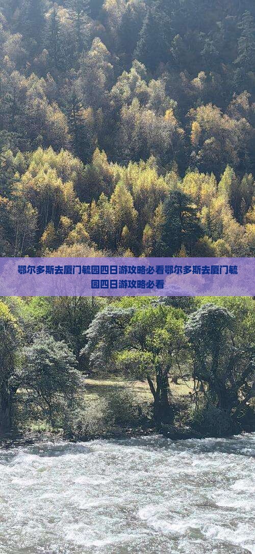 鄂尔多斯去厦门毓园四日游