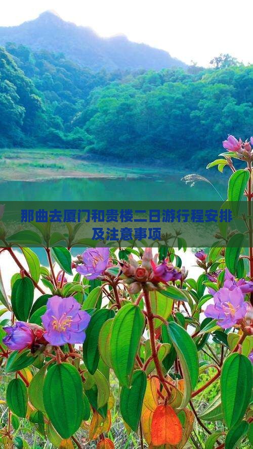 那曲去厦门和贵楼二日游