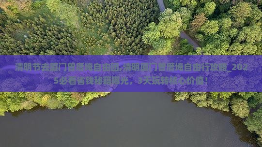 清明节去厦门曾厝埯自由团